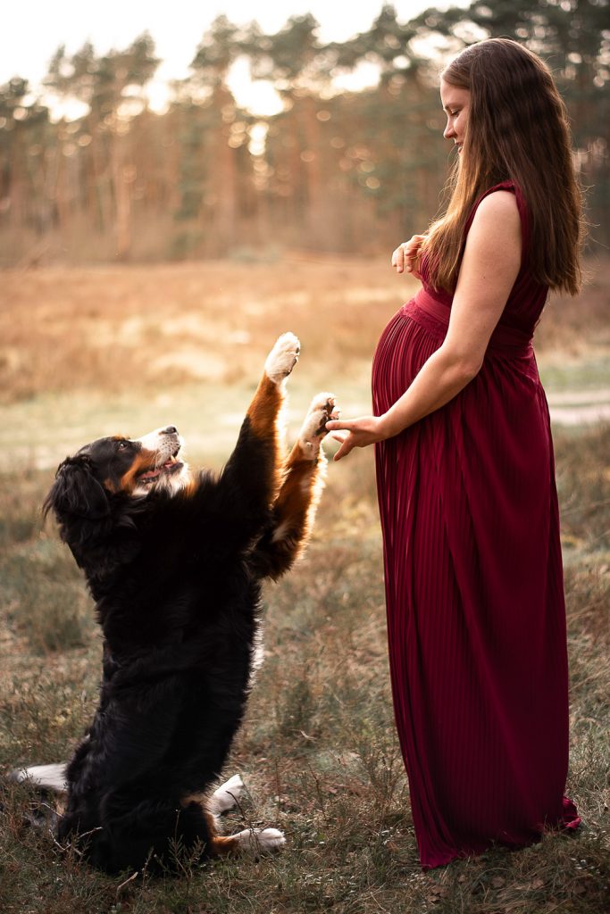 Babybauchshooting outdoor Unna